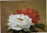 unknow artist Still life floral, all kinds of reality flowers oil painting 34 oil painting picture wholesale